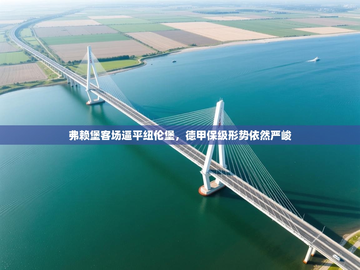 弗赖堡客场逼平纽伦堡,德甲保级形势依然严峻 第2张